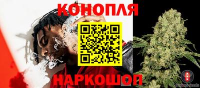 герыч Новозыбков