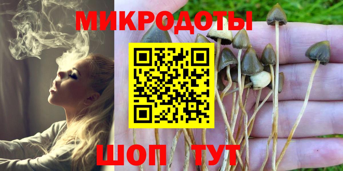 Псилоцибиновые грибы Psilocybine cubensis Чайковский