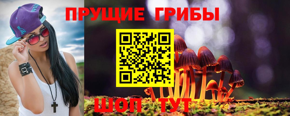 Галлюциногенные грибы Cubensis  Вход с VPN  Чайковский 