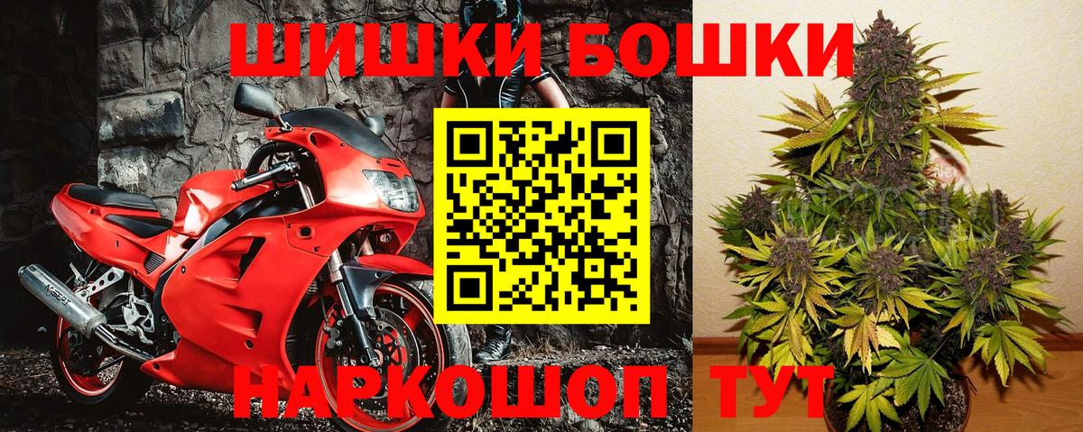 Канабис OG Kush Чайковский